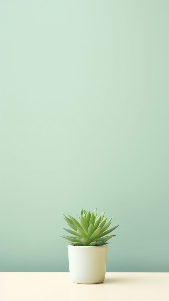 Green succulent plant aloe wall. AI generated Image by rawpixel.