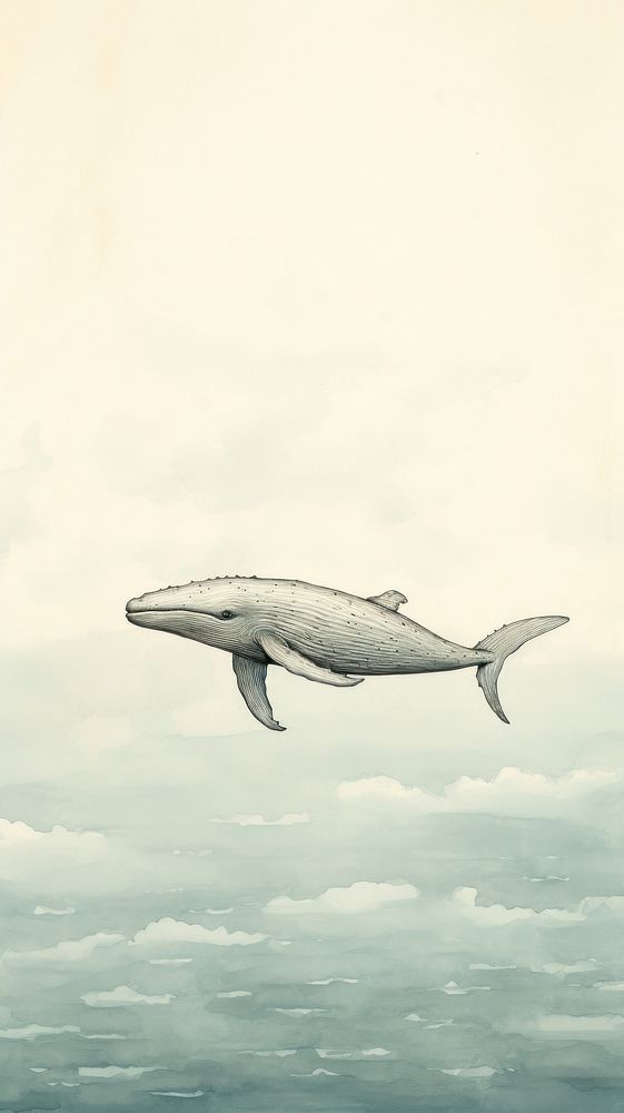 Whale animal sketch shark. AI generated Image by rawpixel.