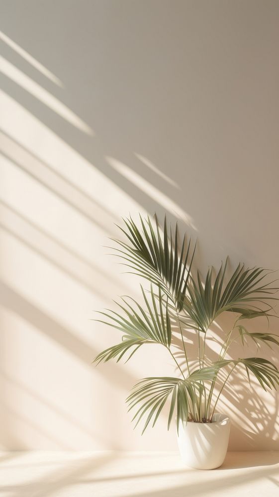 Tropical plant shadow leaf tree. AI generated Image by rawpixel.