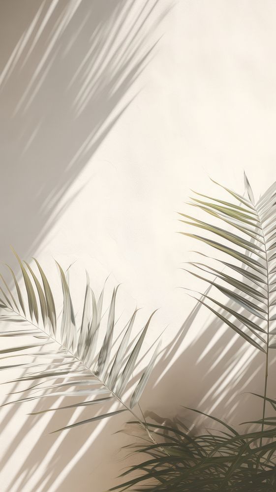 Palm leaves outdoors nature shadow. AI generated Image by rawpixel.