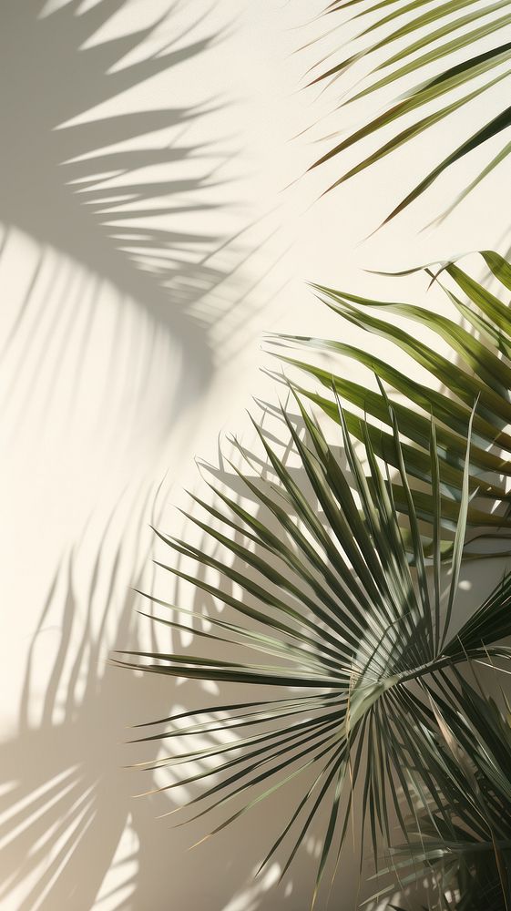 Palm leaves sunlight outdoors nature. AI generated Image by rawpixel.