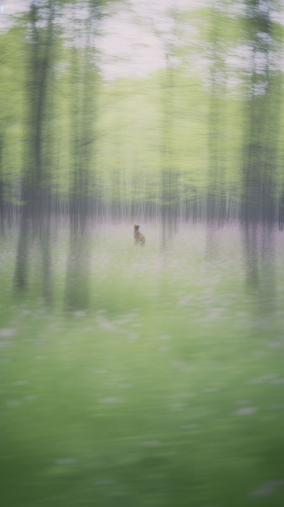 Violet forest wallpaper wildlife outdoors woodland. AI generated Image by rawpixel.