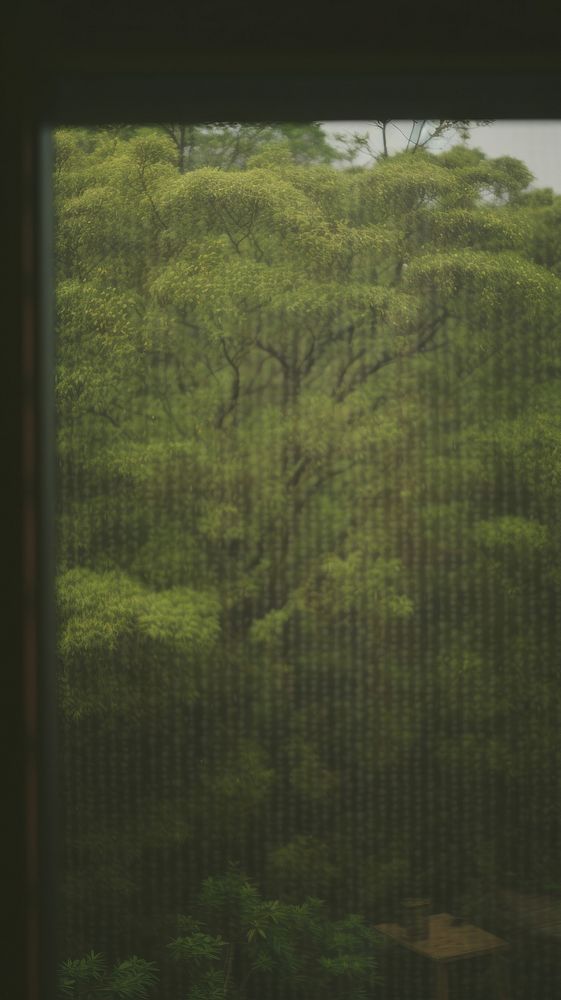 Window view outdoors nature forest. AI generated Image by rawpixel.