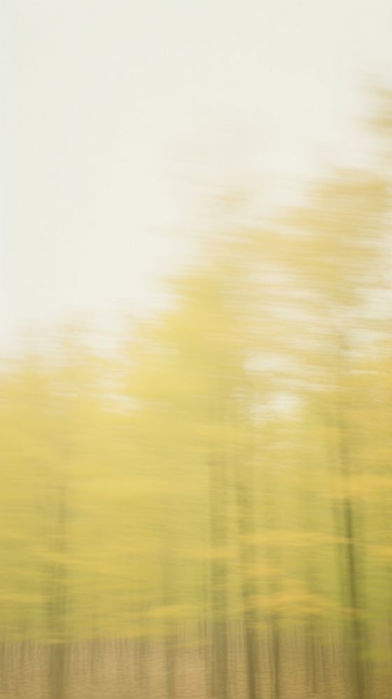 Forest outdoors nature yellow. AI generated Image by rawpixel.