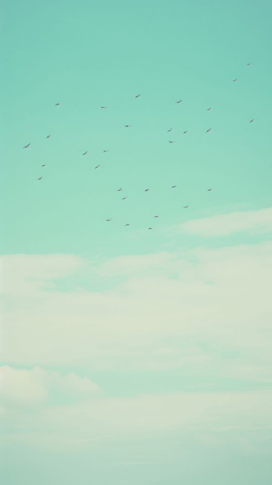 Birds flying in the sky outdoors horizon nature. AI generated Image by rawpixel.