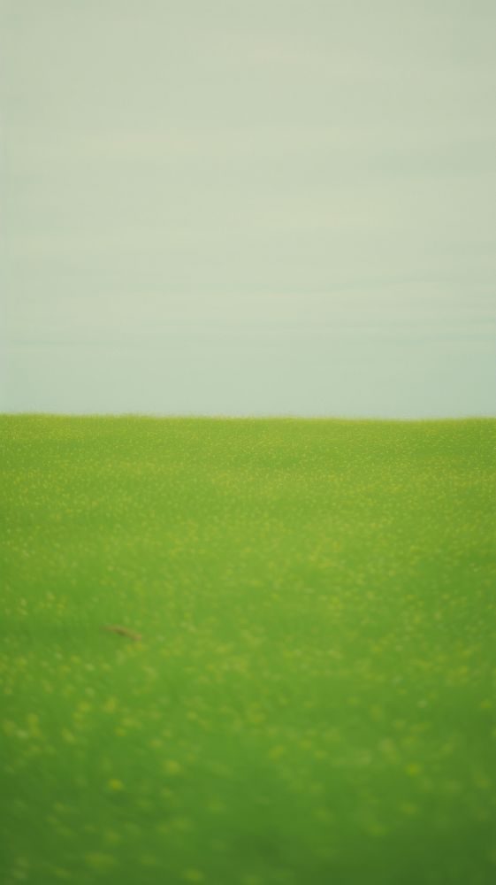 Neon green grassland outdoors horizon nature. AI generated Image by rawpixel.