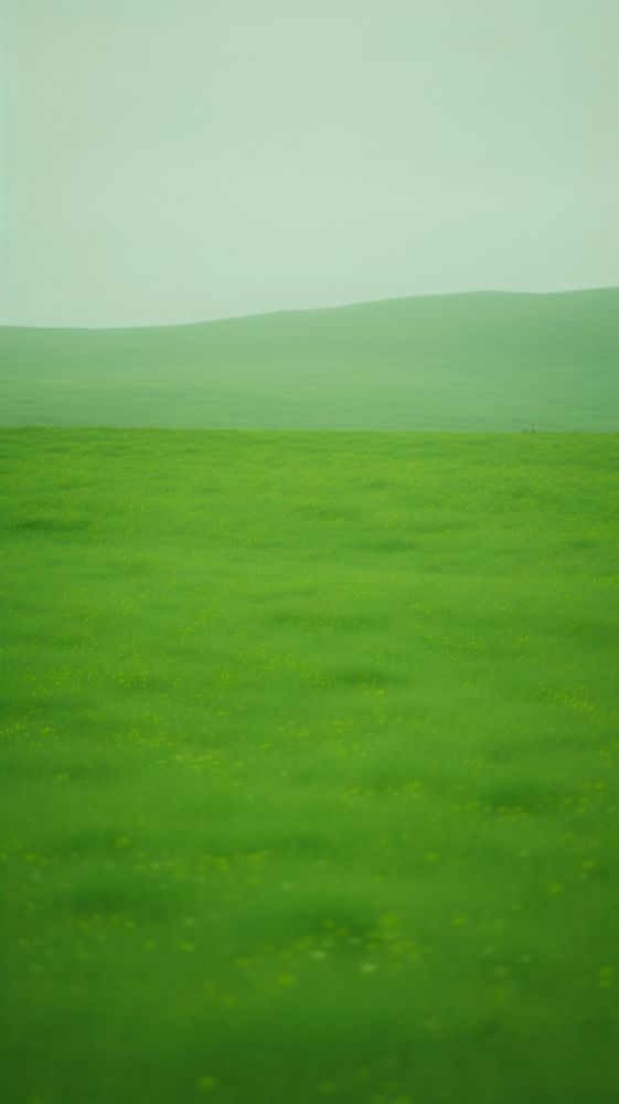 Neon green grassland outdoors nature plant. AI generated Image by rawpixel.
