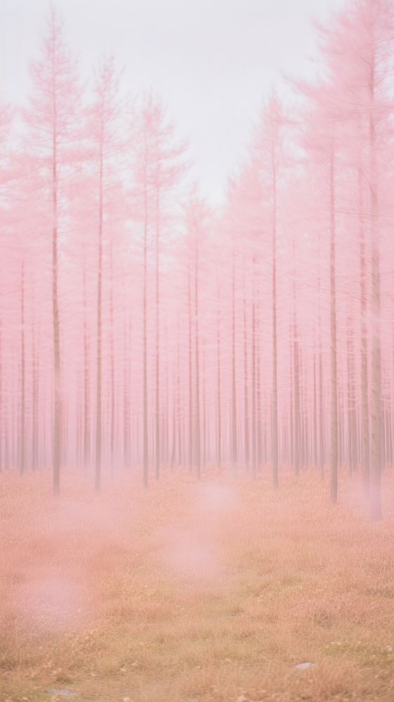 Pink forest wallpaper outdoors woodland nature. AI generated Image by rawpixel.