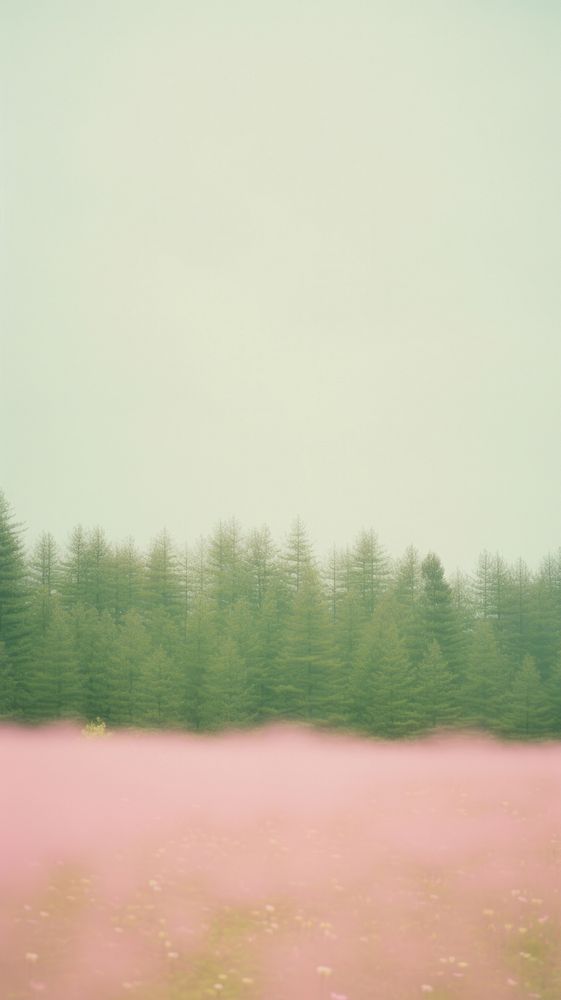 Pink forest wallpaper landscape outdoors nature. AI generated Image by rawpixel.