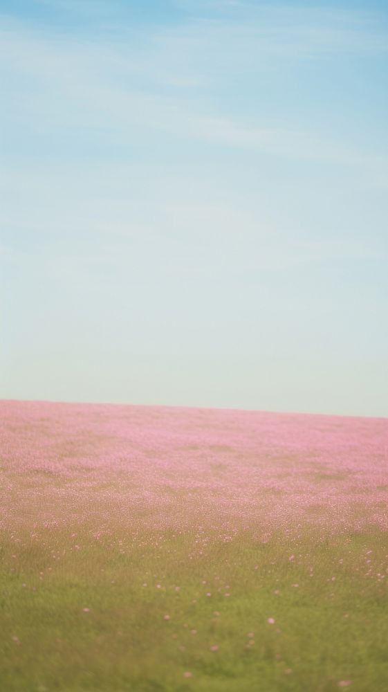 Pink grassland outdoors horizon nature. AI generated Image by rawpixel.