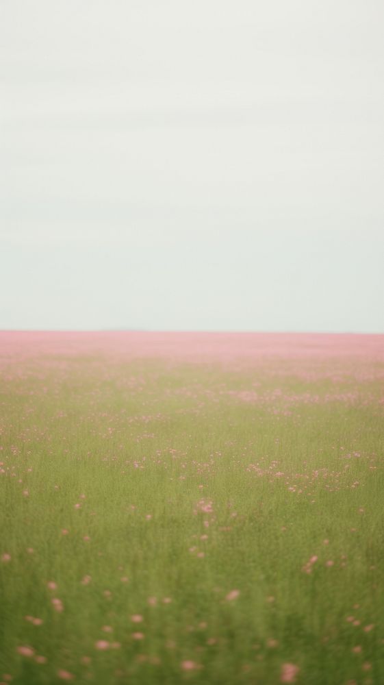 Pink grassland outdoors horizon nature. AI generated Image by rawpixel.