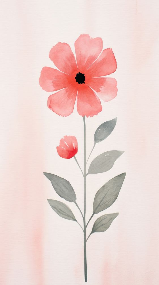 Flower petal plant poppy. AI generated Image by rawpixel.