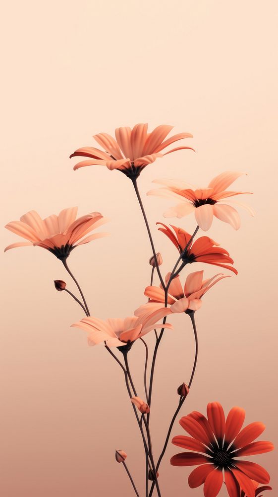 Wild flower petal plant inflorescence. AI generated Image by rawpixel.