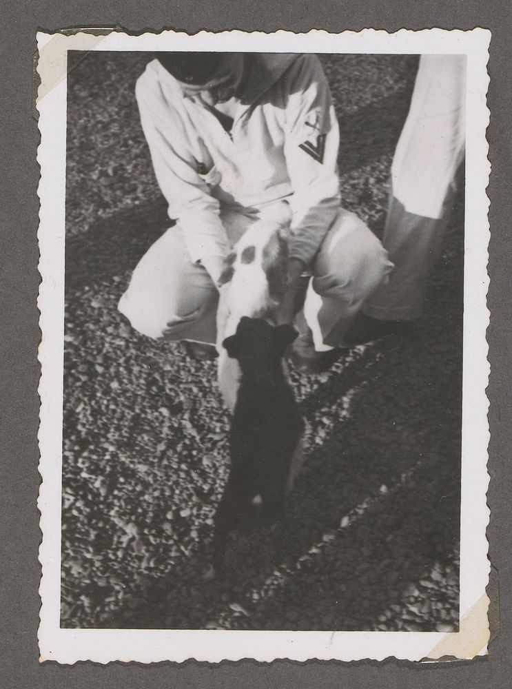 Portret van een militair in uniform met hond (1941 - 1945) by anonymous
