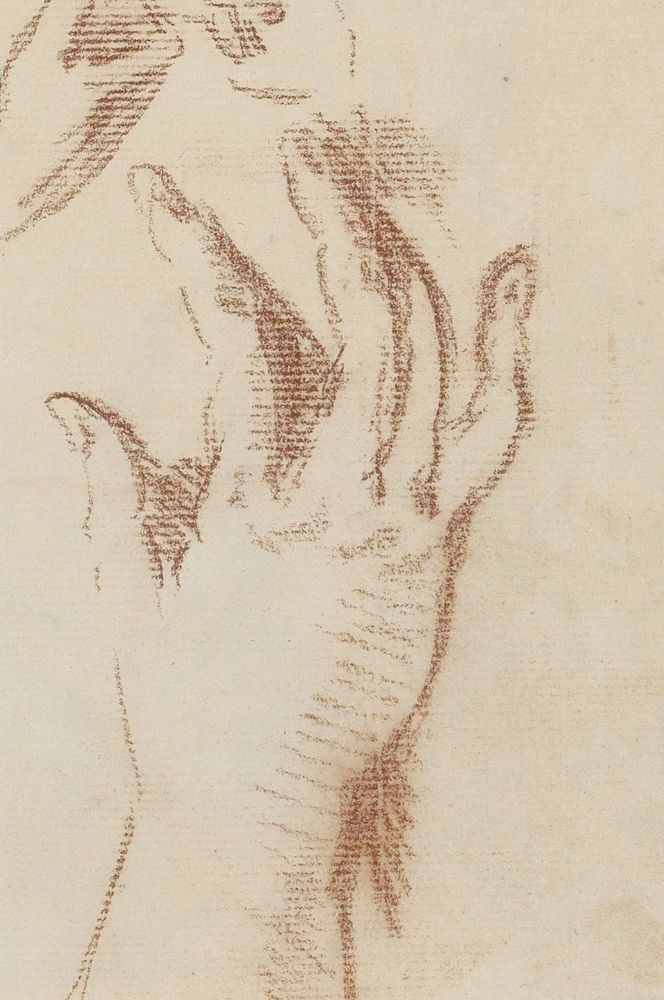 Handen (1710 - 1772) by Petrus Johannes van Reysschoot