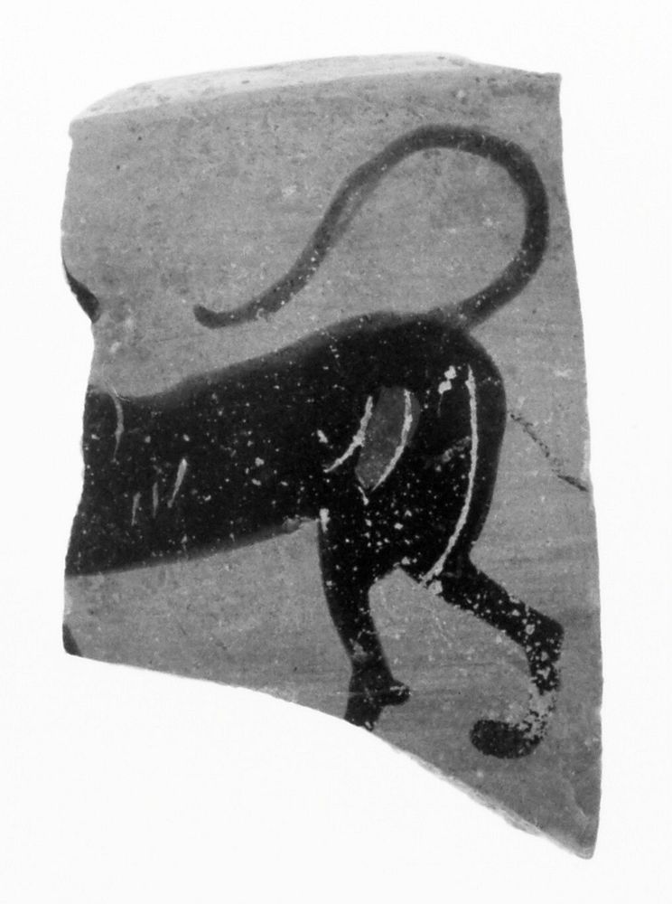 Attic Black-Figure Lekythos Fragment