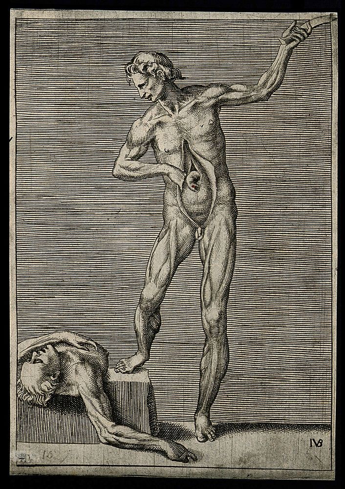 A male écorché holding a knife in his left hand, exposing his bowel with his right hand, and resting his right foot on a…