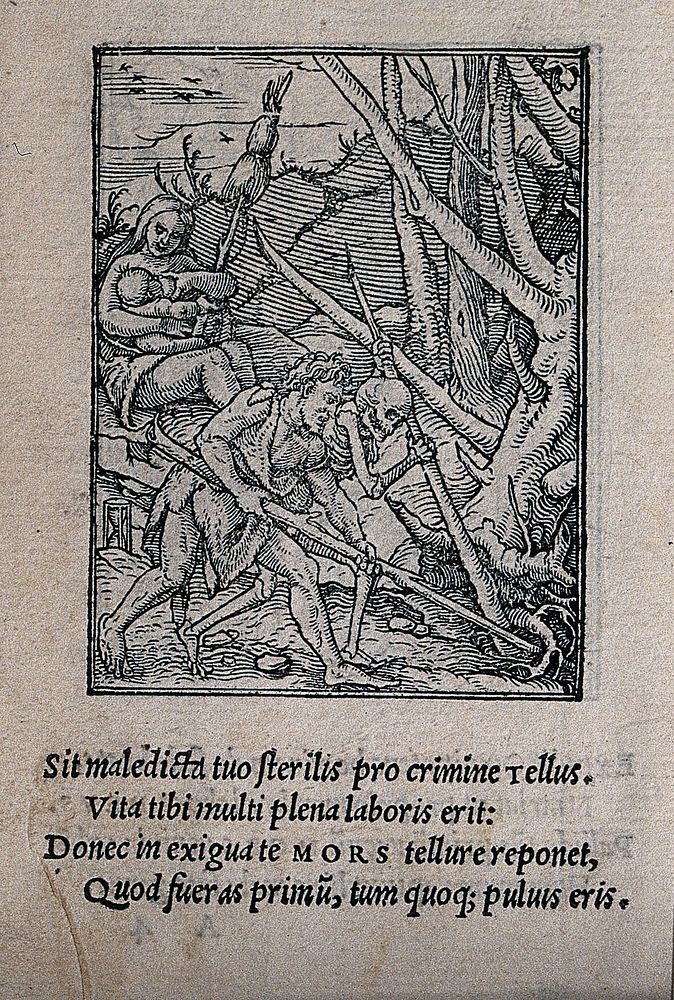 The dance of death: Adam tills the soil. Woodcut by Hans Holbein the younger.