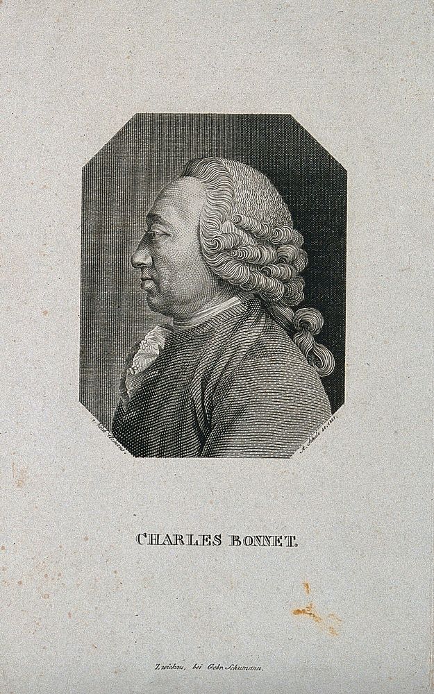 Charles Bonnet. Line engraving by A. Schule after Clemens.