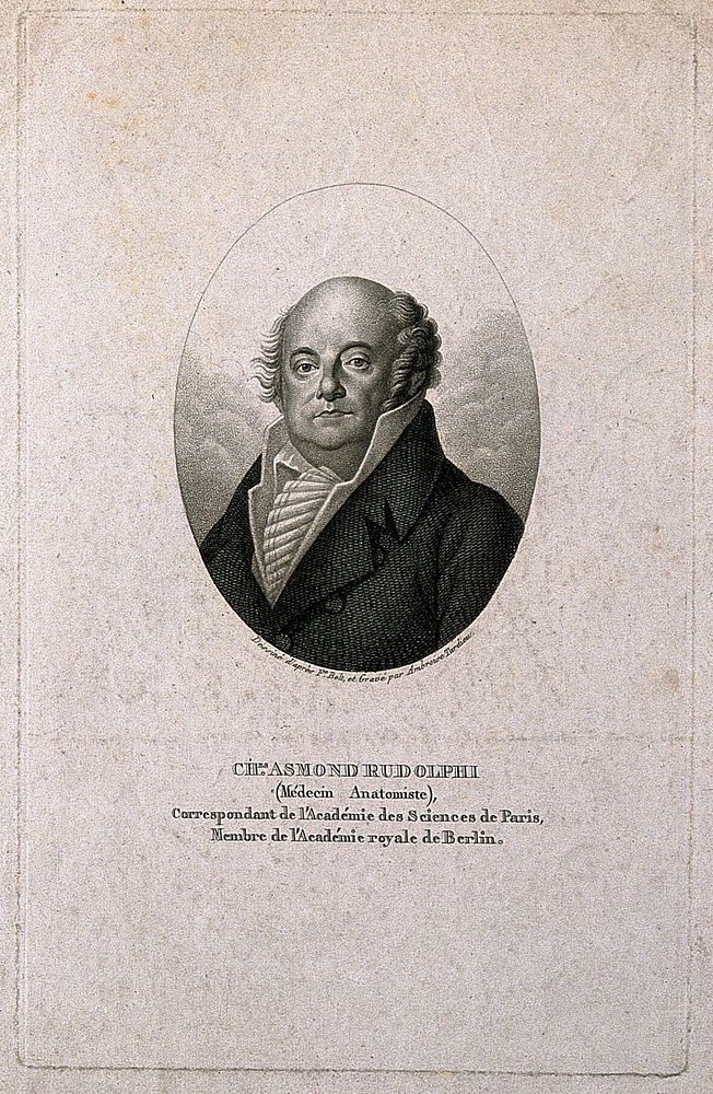 Karl Asmund Rudolphi. Stipple engraving by A. Tardieu after F. Bolt after A. Temmel.