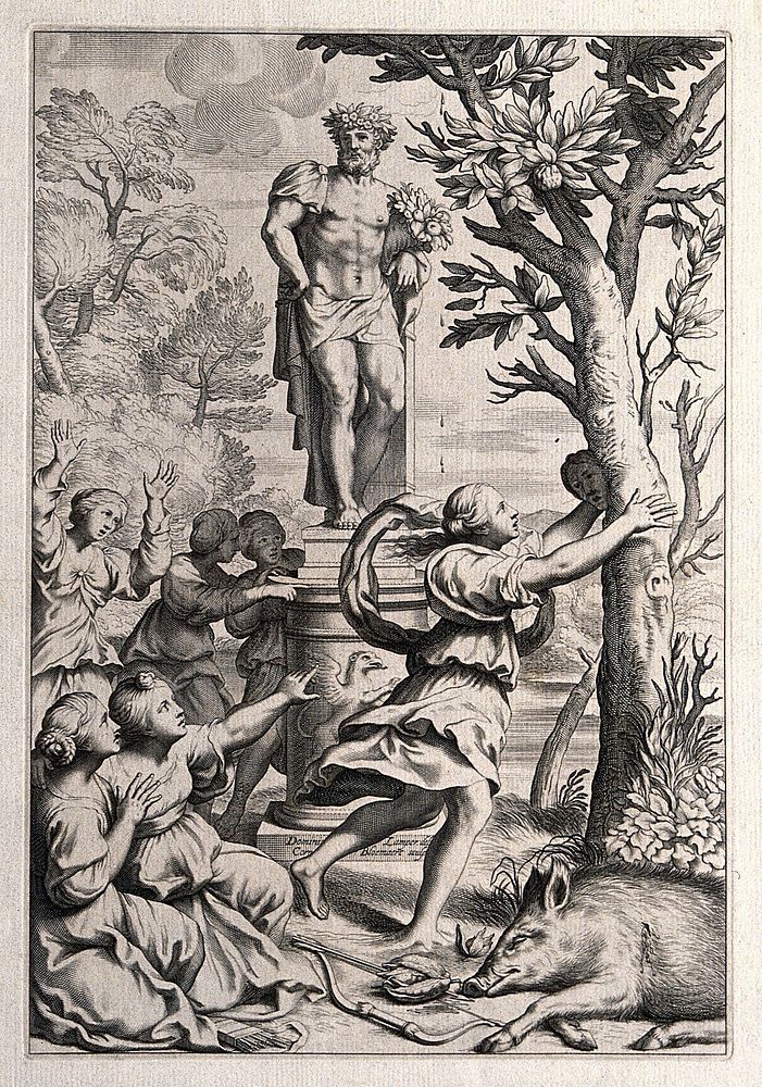 Apollo and Daphne. Engraving by C. Bloemaert after D. Zampieri, il Domenichino.