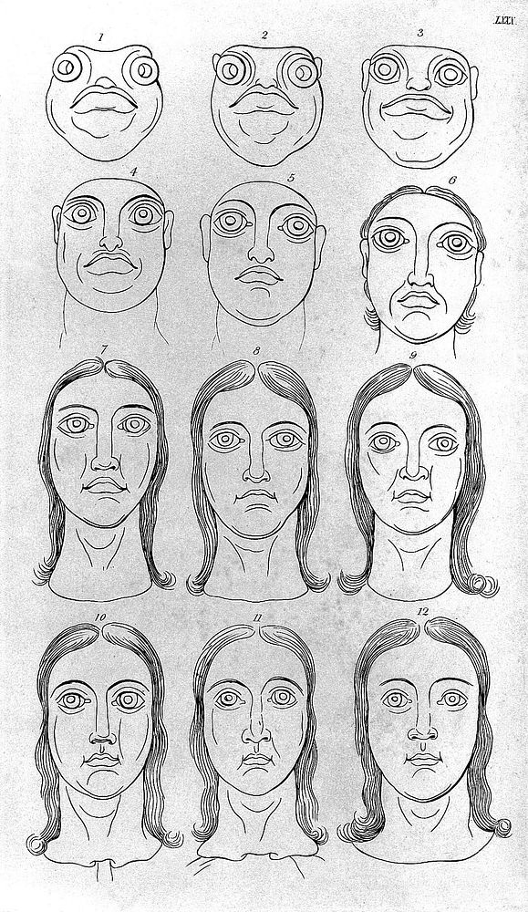 Essays on physiognomy : designed to promote the knowledge and the love of mankind / Written in the German language by John…