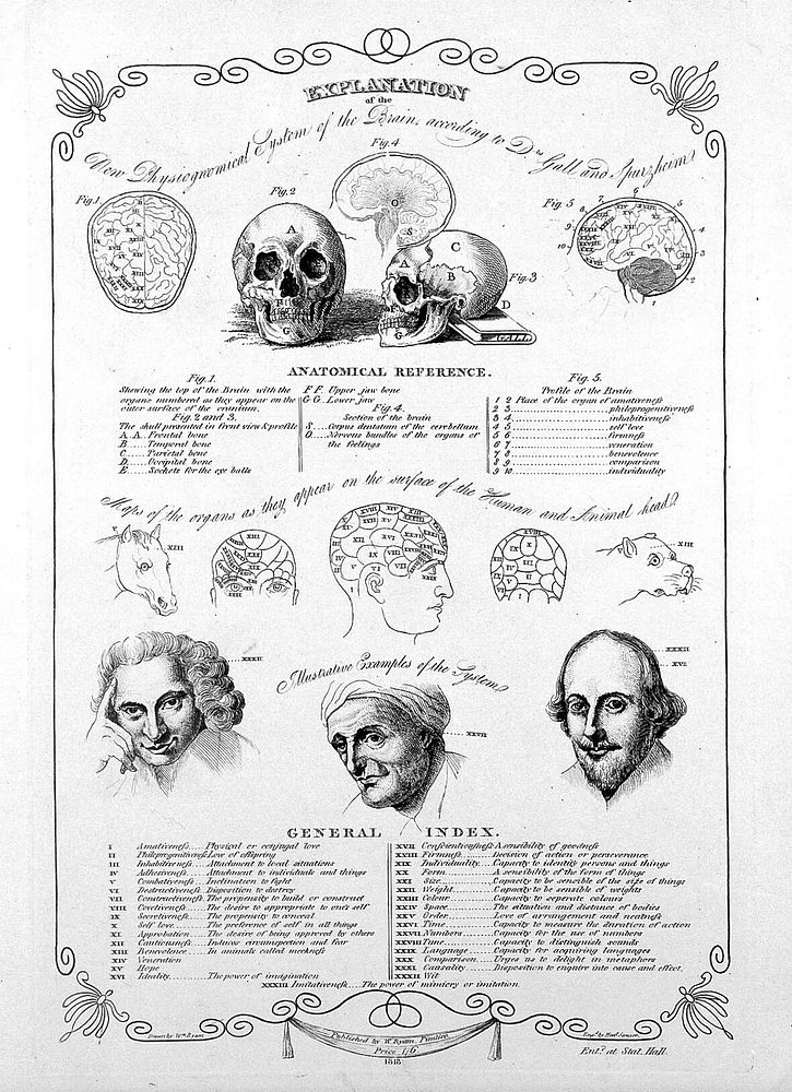 Phrenological diagrams of the skull and brain, with three portraits: Laurence Sterne, a mathematician, and Shakespeare;…