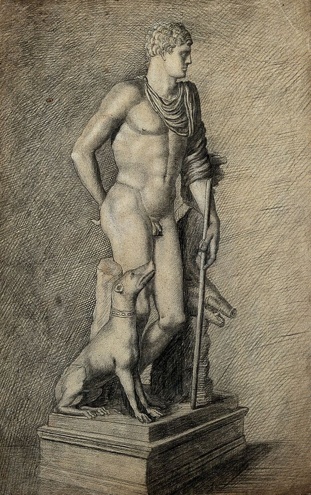 The Vatican Meleager. Pencil drawing by J. Newton.
