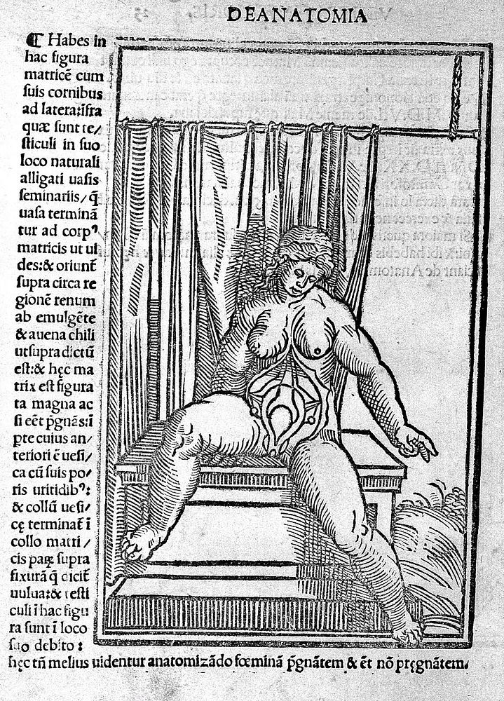 Isagoge breves prelucide ac uberime in anatomiam humani corporis. A communi medicorum academia usitatam. *** / [Jacopo…