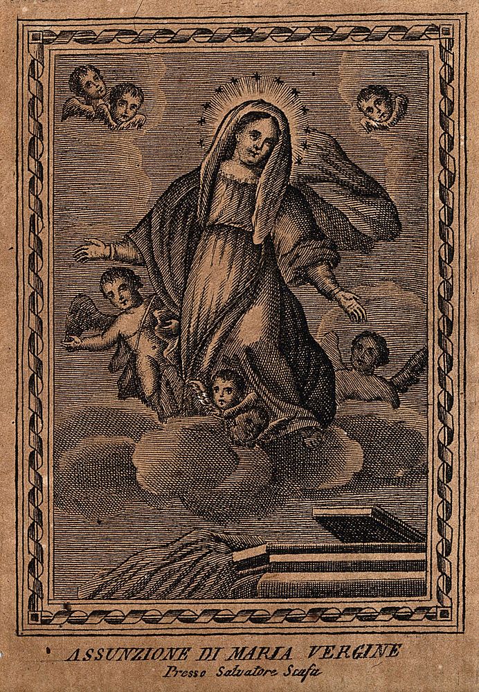 The Assumption of the Virgin Mary. Engraving by S. Scafa.