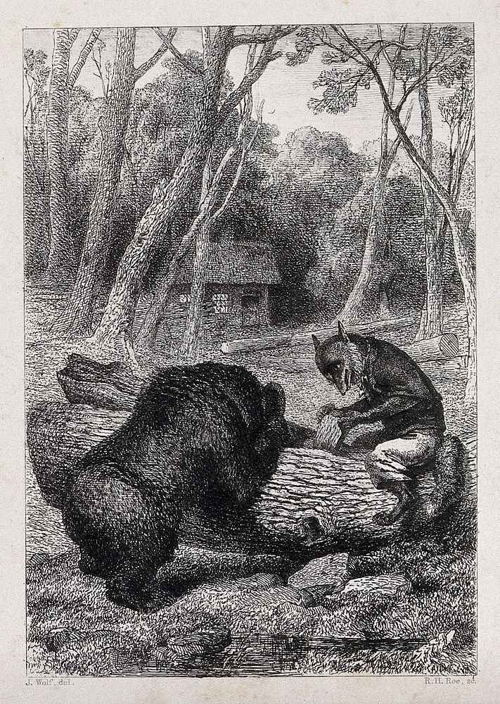 A fox, sitting on a tree trunk, is enticing a bear to poke its head in the hollow of the trunk, so as to trap the bear's…