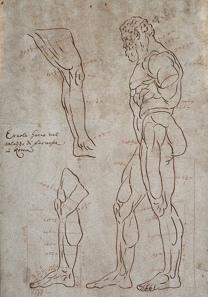 The Farnese Hercules seen from the right and two sketches of the right leg. Pen and ink drawing after G. Audran.