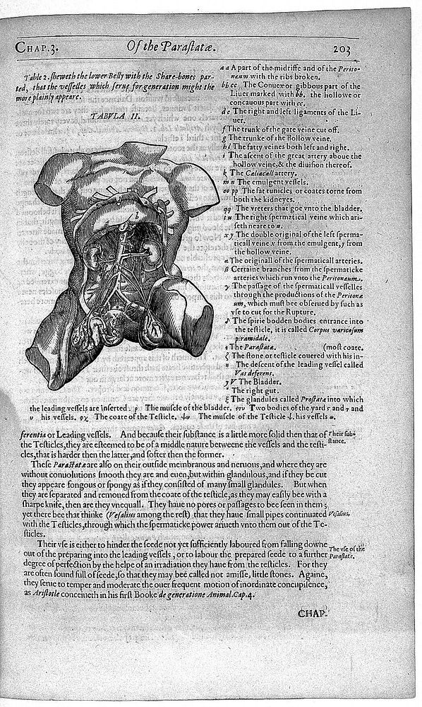 Mikrokosmographia. A description of the body of man. Together with the controversies thereto belonging / Collected and…