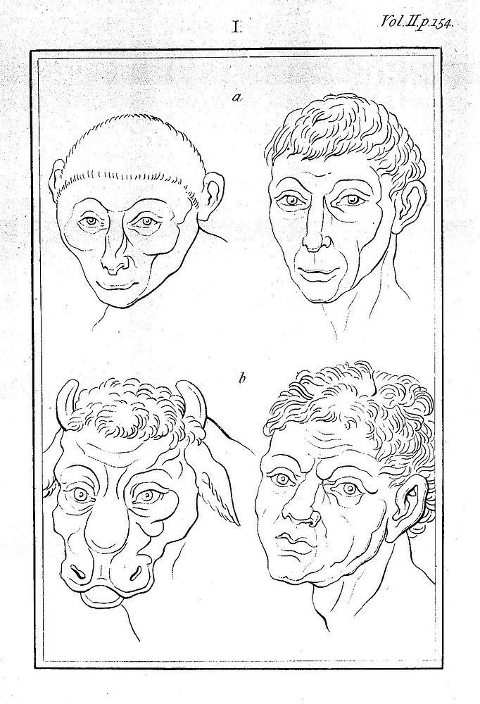 J. C. Lavater, Essays on physiognomy