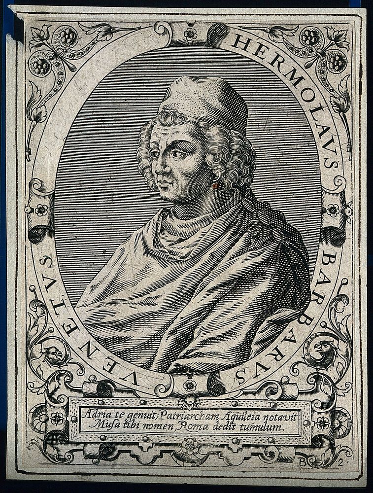 Ermolao Barbaro. Line engraving attributed to Theodore de Bry.