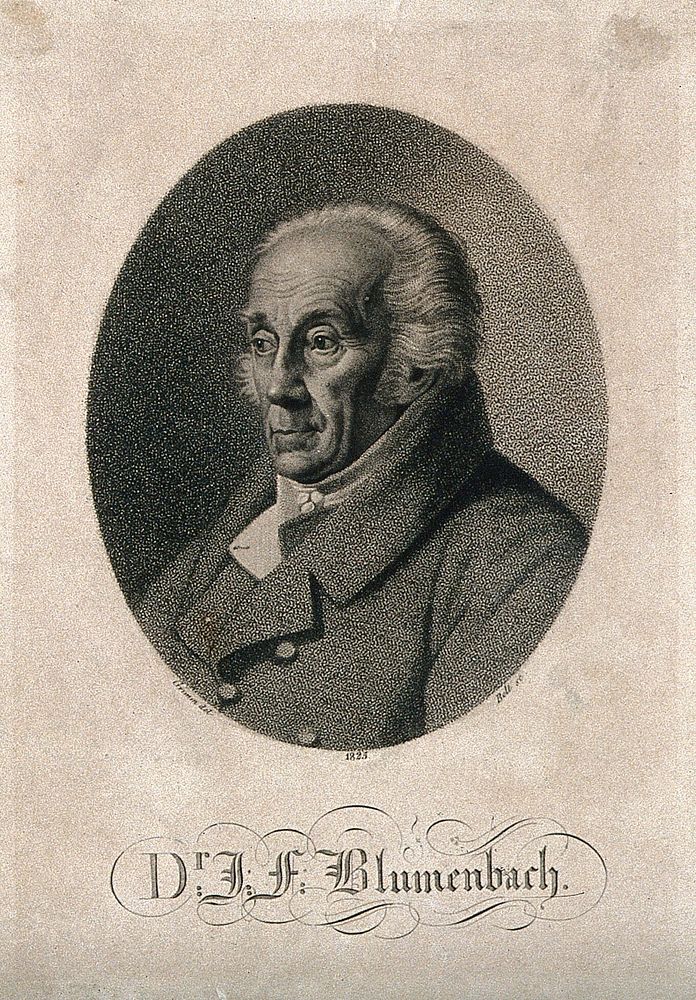 Johann Friedrich Blumenbach. Stipple engraving by J. F. Bolt after L. E. Grimm, 1825.