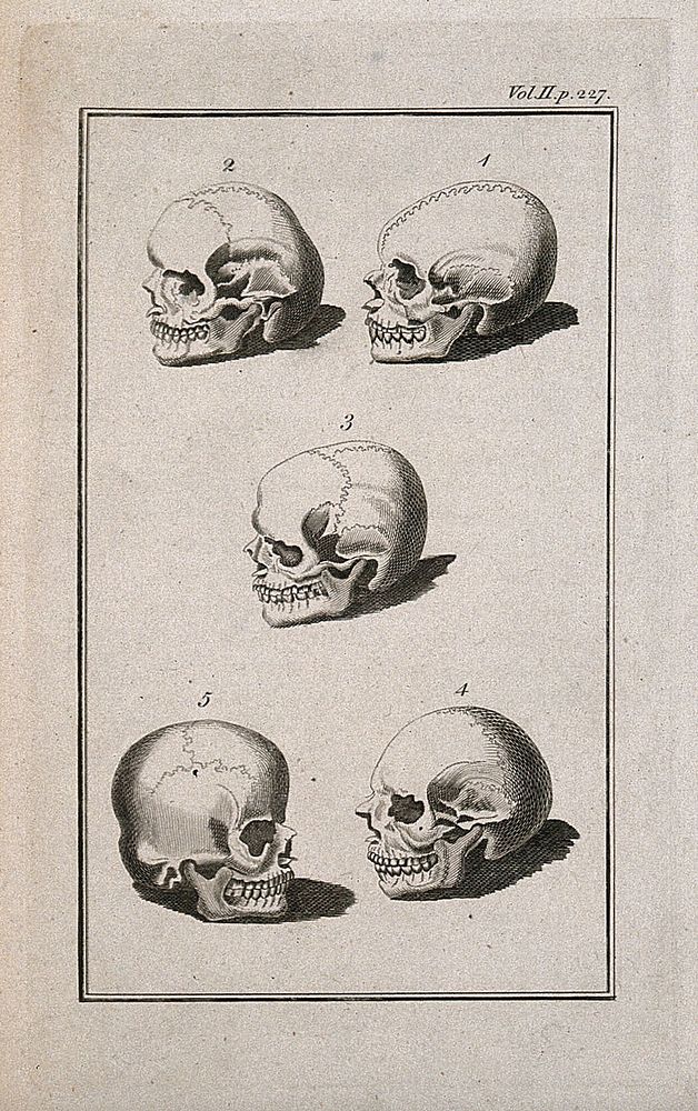 Human skulls showing sutures: five figures. Line engraving, 1780/1800.