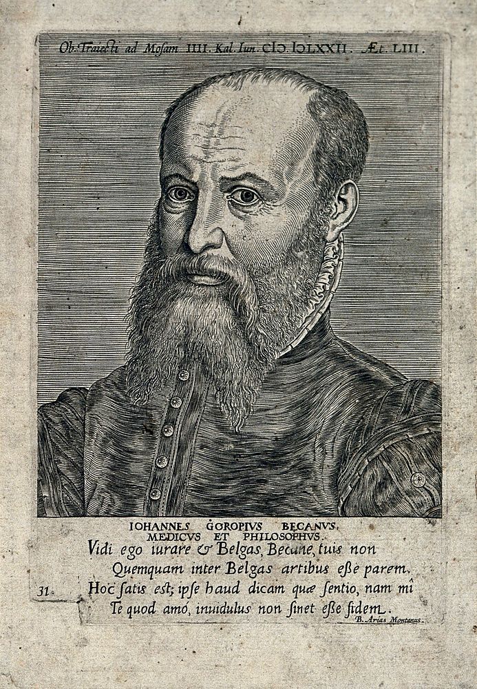 Jan van Gorp. Line engraving after P. Galle, 1572.
