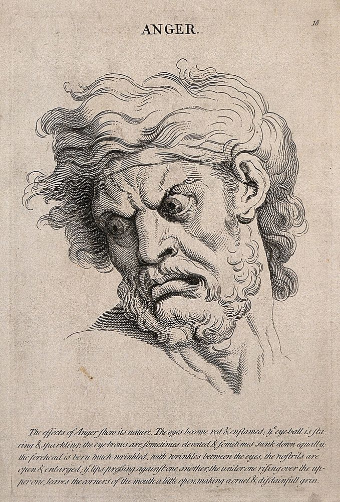 The face of a man in a state of anger. Engraving by J. Tinney, ca. 1730/1740, after C. Le Brun.