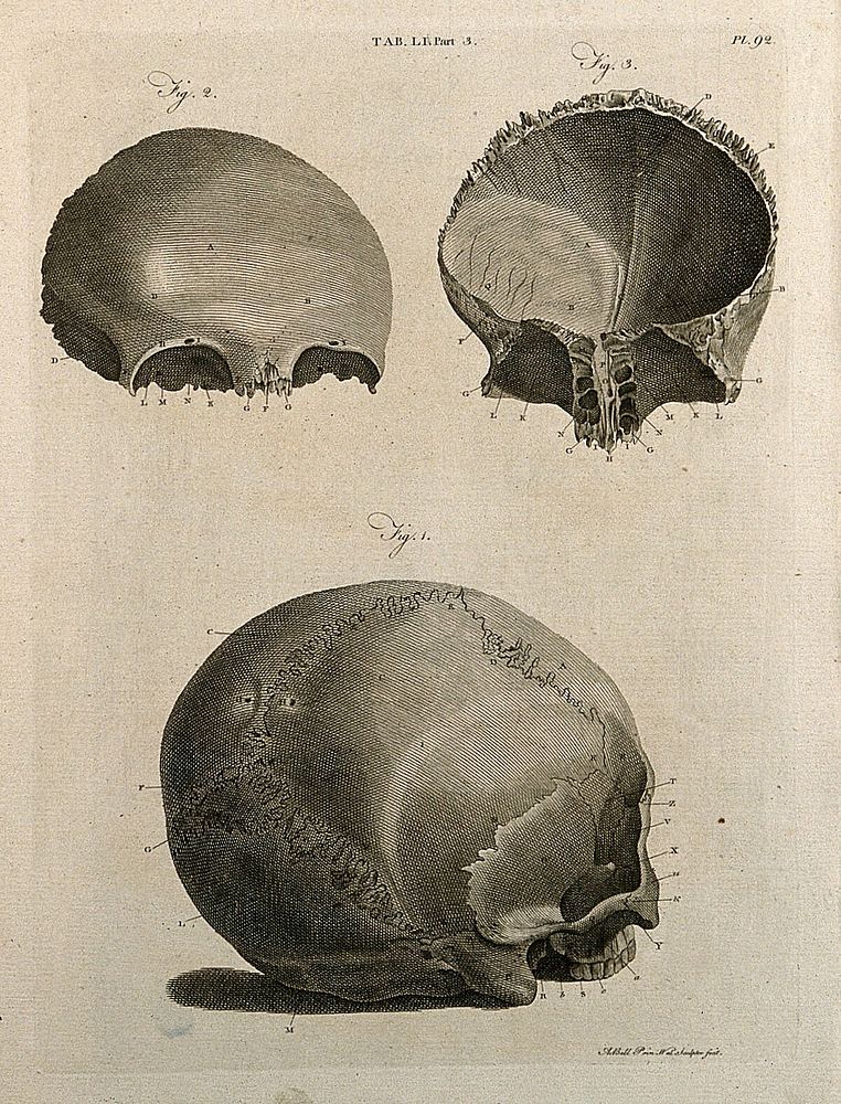 Bones of the skull: three figures. Line engraving by A. Bell after J.-J. Sue, 1798.