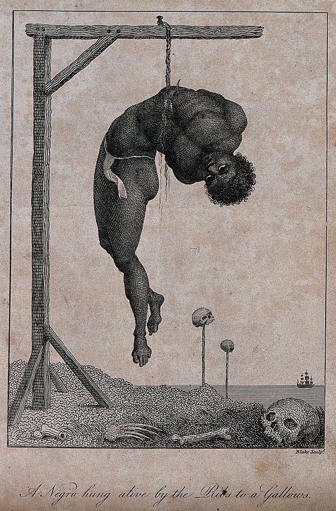 A black man in Surinam hanged at the waist; human bones lie on the ground and skulls are impaled on sticks. Engraving by W.…