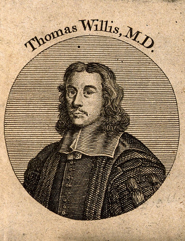 Thomas Willis. Line engraving after D. Loggan.