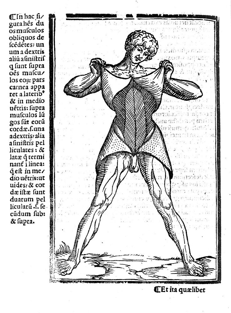 Carpi commentaria cũm amplissimis additionibus super Anatomia Mũndini vna cum textu eiusdẽm in pristinũm et verum nitorèm…