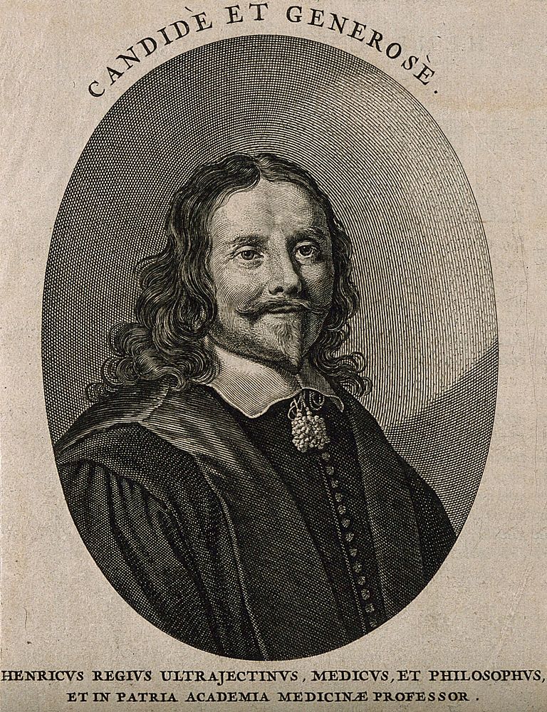 Henricus Regius. Line engraving, 1654.