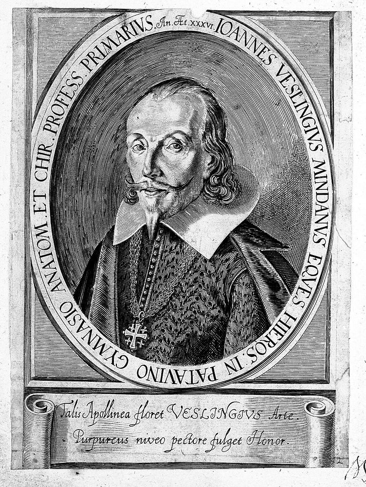 Johann Vesling. Line engraving.