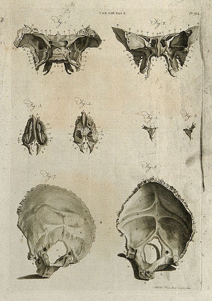 Bones of the skull: eight figures. Line engraving by A. Bell, 1798, after J.-J. Sue.