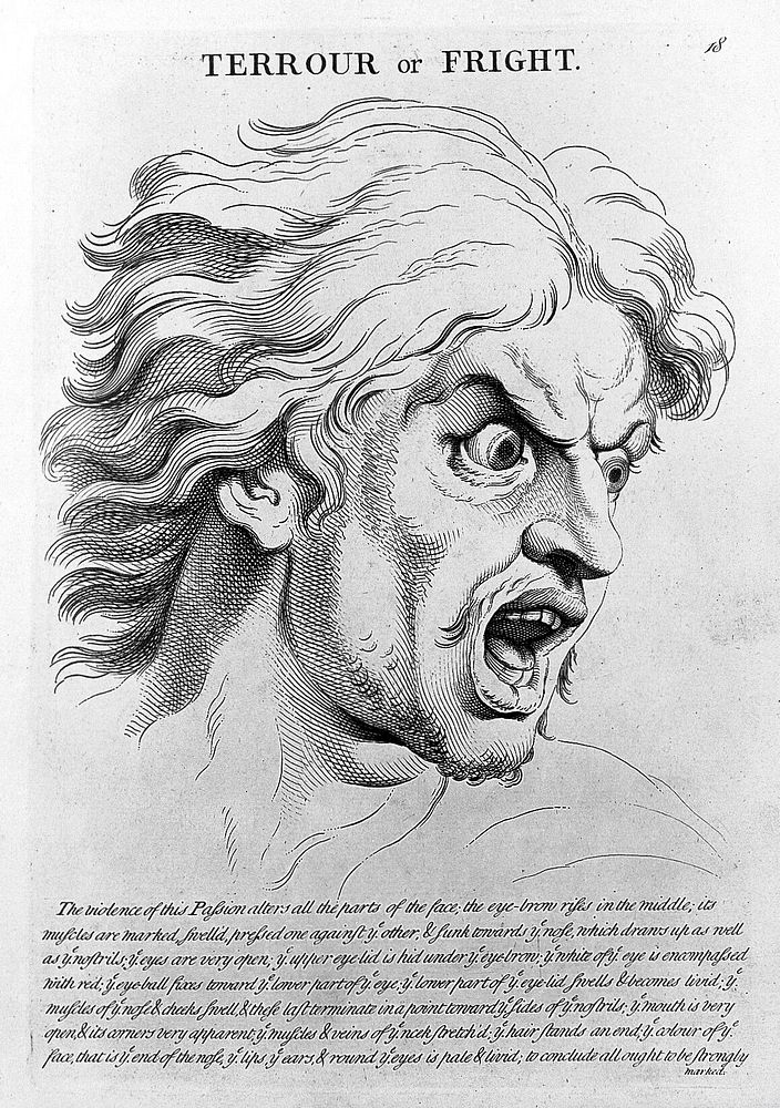 "Terrour" from le Brun, Heads. Representing the various passions of the soul..., circa 1760