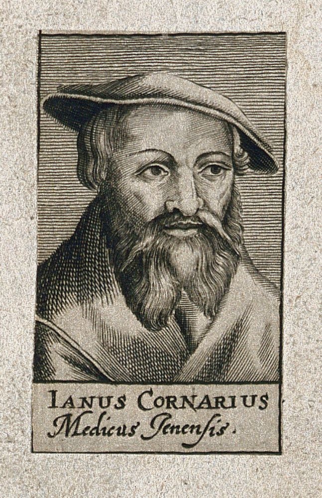 Janus Cornarius. Line engraving, 1688.