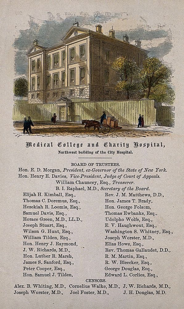 Medical College and Charity Hospital, New York City. Coloured wood engraving.