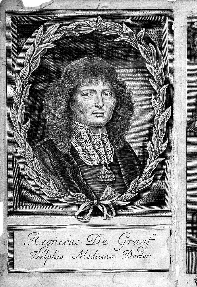 Portrait of R. de Graaf in De vivorum organis generationi inservientibus